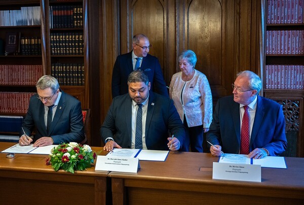 Családasszisztensi hálózat